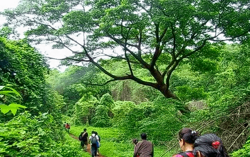Sant Sri Asaramji Bapu Gurukul Gallery