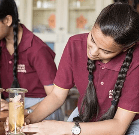 Sagar Public School Gallery