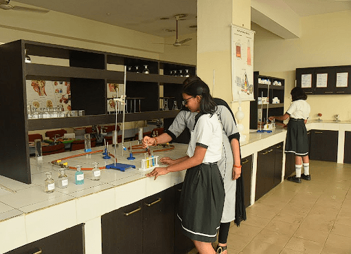 Delhi Public Elementary School Gallery