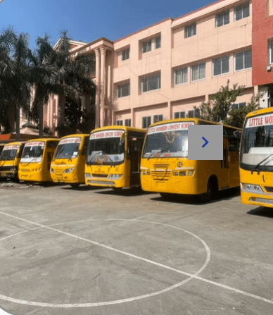 Little Wonders Convent School Gallery