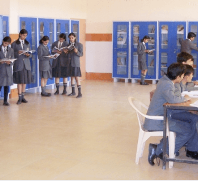 Little Wonders Convent School Gallery