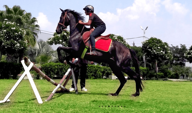 La Sagesse Academy Gallery