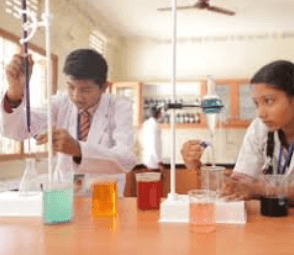 Shri Anand Higher Secondary School Gallery