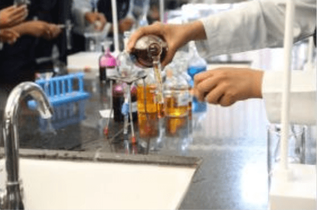 Pearls Academy Gallery