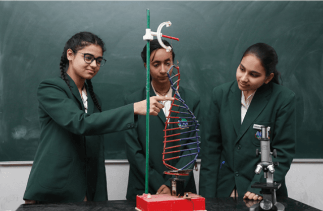 Apex International School Gallery