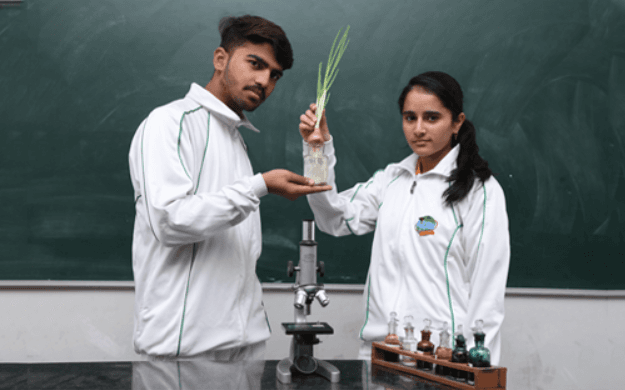 Apex International School Gallery