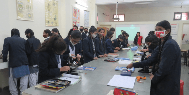 Army Public School Gallery