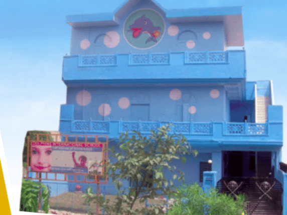 Dolphins High School Gallery