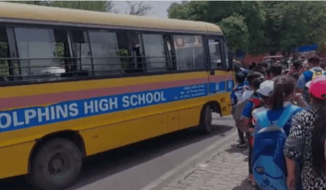 Dolphins High School Gallery