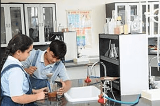 Edify World School Gallery