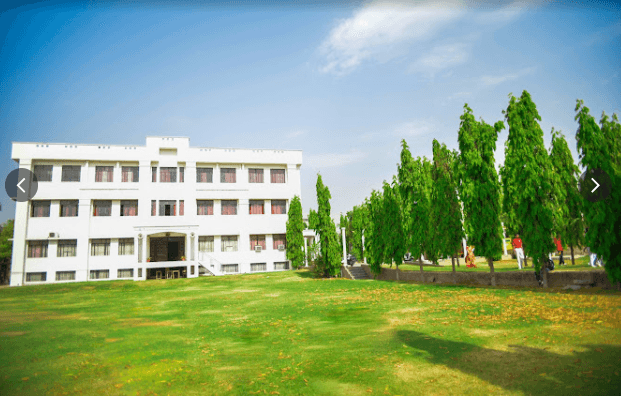India Overseas School Gallery