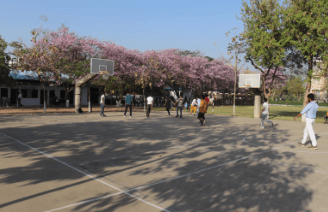 Jaipur School Gallery
