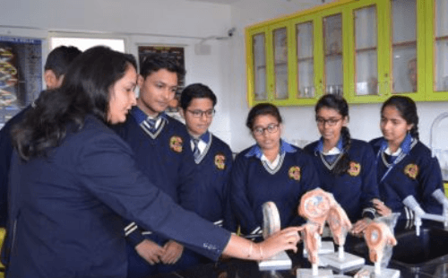 Maheshwari Public School International Gallery