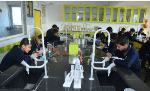 Maheshwari Public School International Gallery