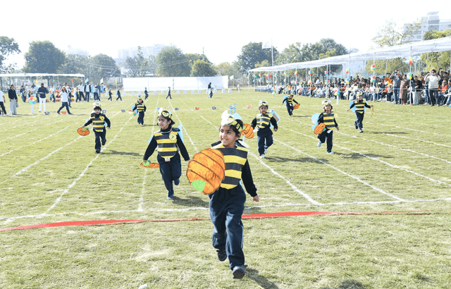 Teoler High School Gallery