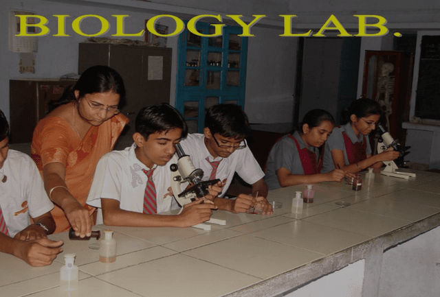 Saint Soldier Public School Gallery