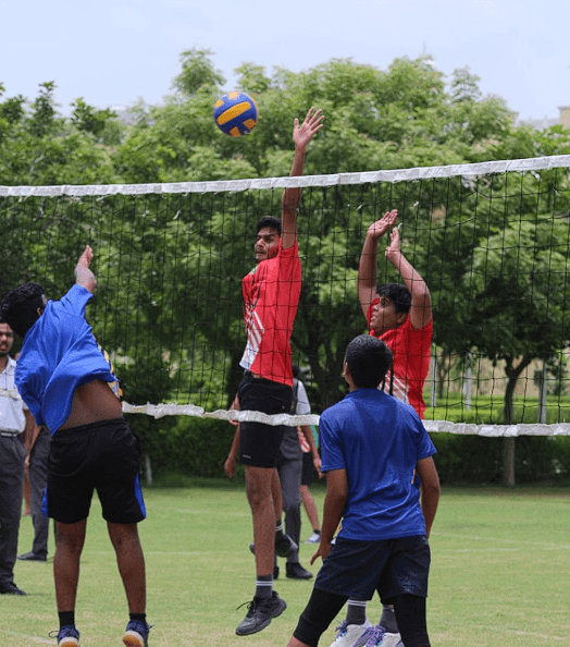 St. Xaviers School Gallery