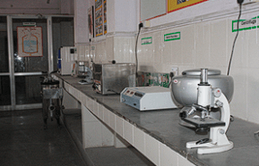 Army Public School Gallery