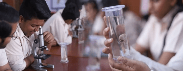 St. Annes Senior Secondary School Gallery