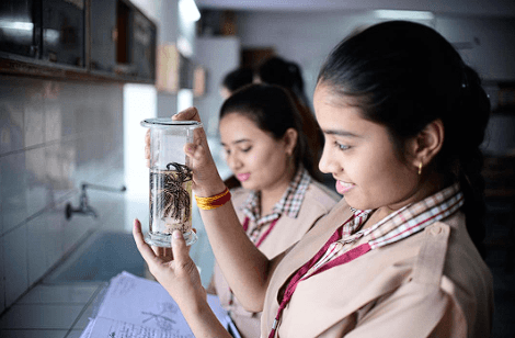 Shri Sohanlal Manihar Girls Senior Secondary School Gallery
