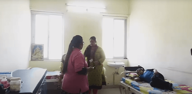 Orchids The International School Gallery