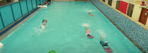 Orchids The International School Gallery