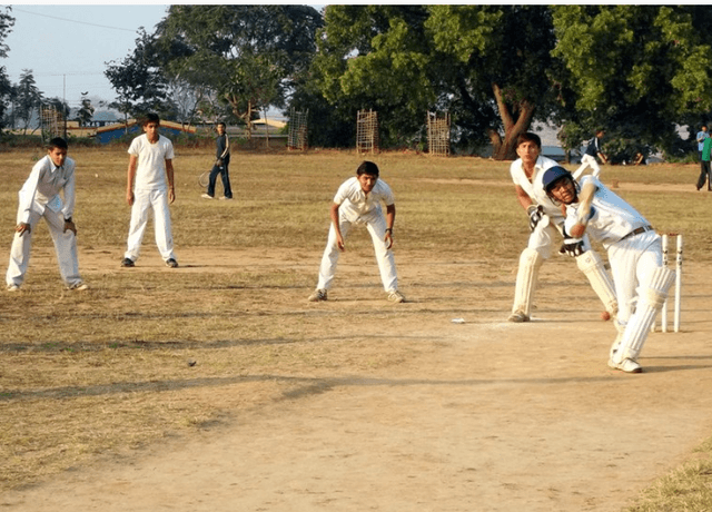 Vikas Vidyalaya Gallery