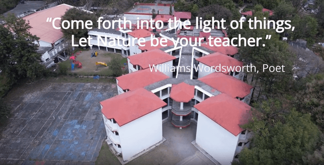 The Pestle Weed School Gallery