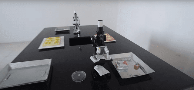 The Vivekananda School (Senior Branch) Gallery