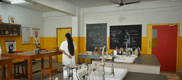 Silver Point School Gallery