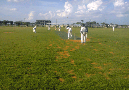 Akshara Vidyalaya Gallery