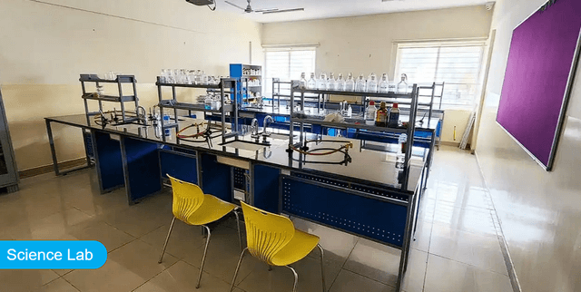 Chrysalis High Gallery