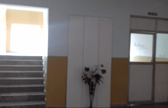 Serene International School Gallery