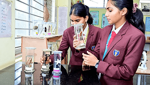 Sharada Vidya Mandira Gallery