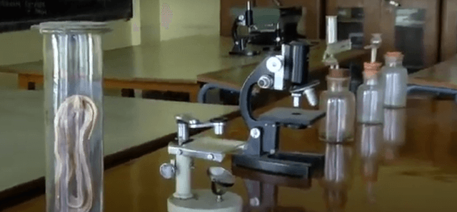 Sri Venkateshwara Educational Institutions Gallery