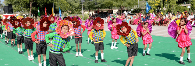 Green Valley Public School Gallery