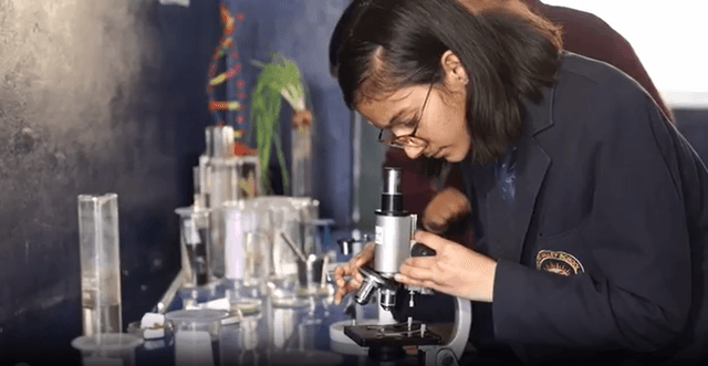 Wisdom Valley School Gallery