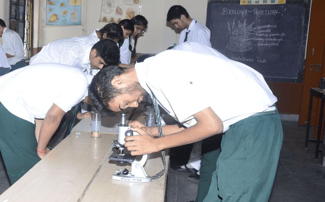 Green Valley School Gallery