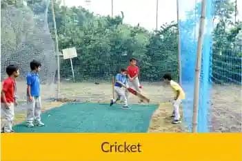 Sanskriti School Gallery