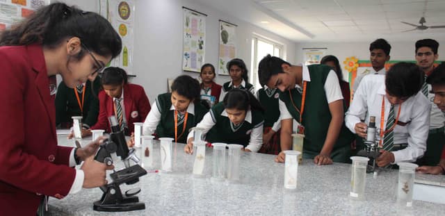 Yadu Public School Gallery