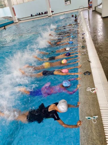 Dev-In National School Gallery