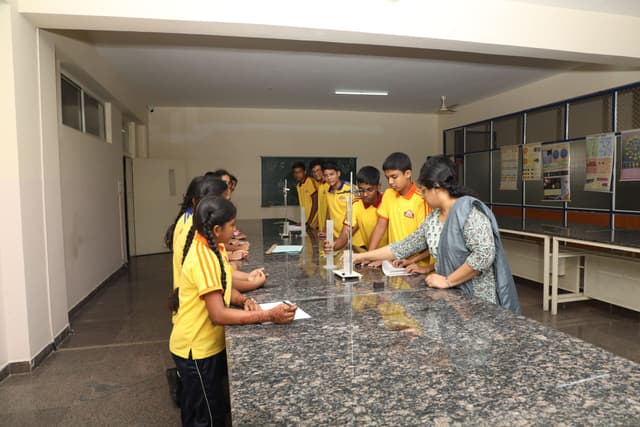 Dev-In National School Gallery