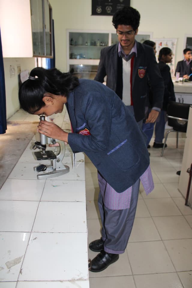 Mahashay Chuni Lal Saraswati Bal Mandir Sr Sec School Gallery