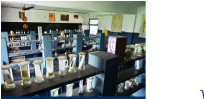 Mother Teresa Senior Secondary Co-Ed School Gallery