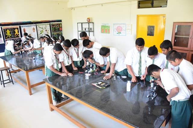 Alard Public School Gallery