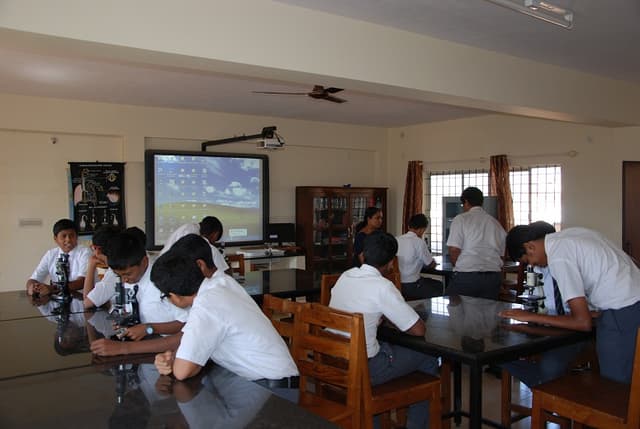 Universal Public School Gallery