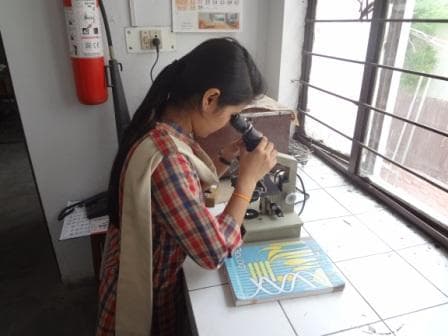 DAV Public School Gallery