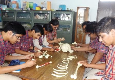 DAV Public School Gallery