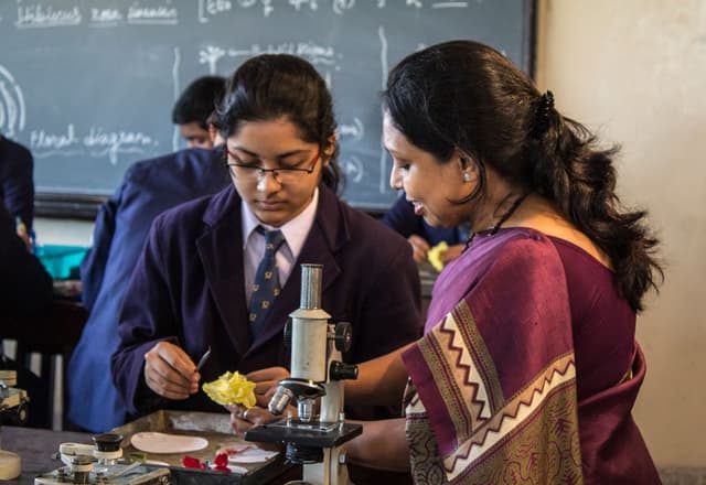 St. Joans School Gallery