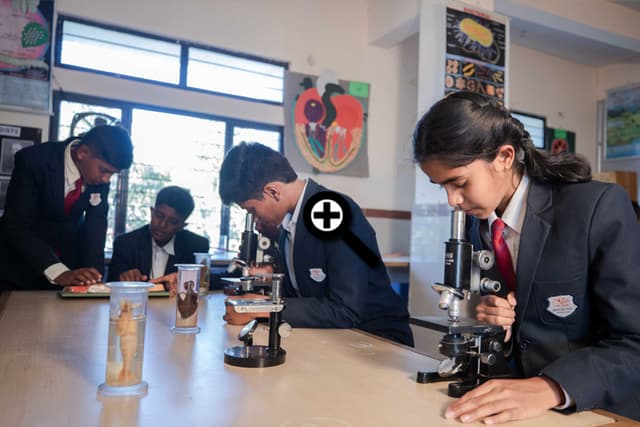 Anantha Vidyaniketana Gallery